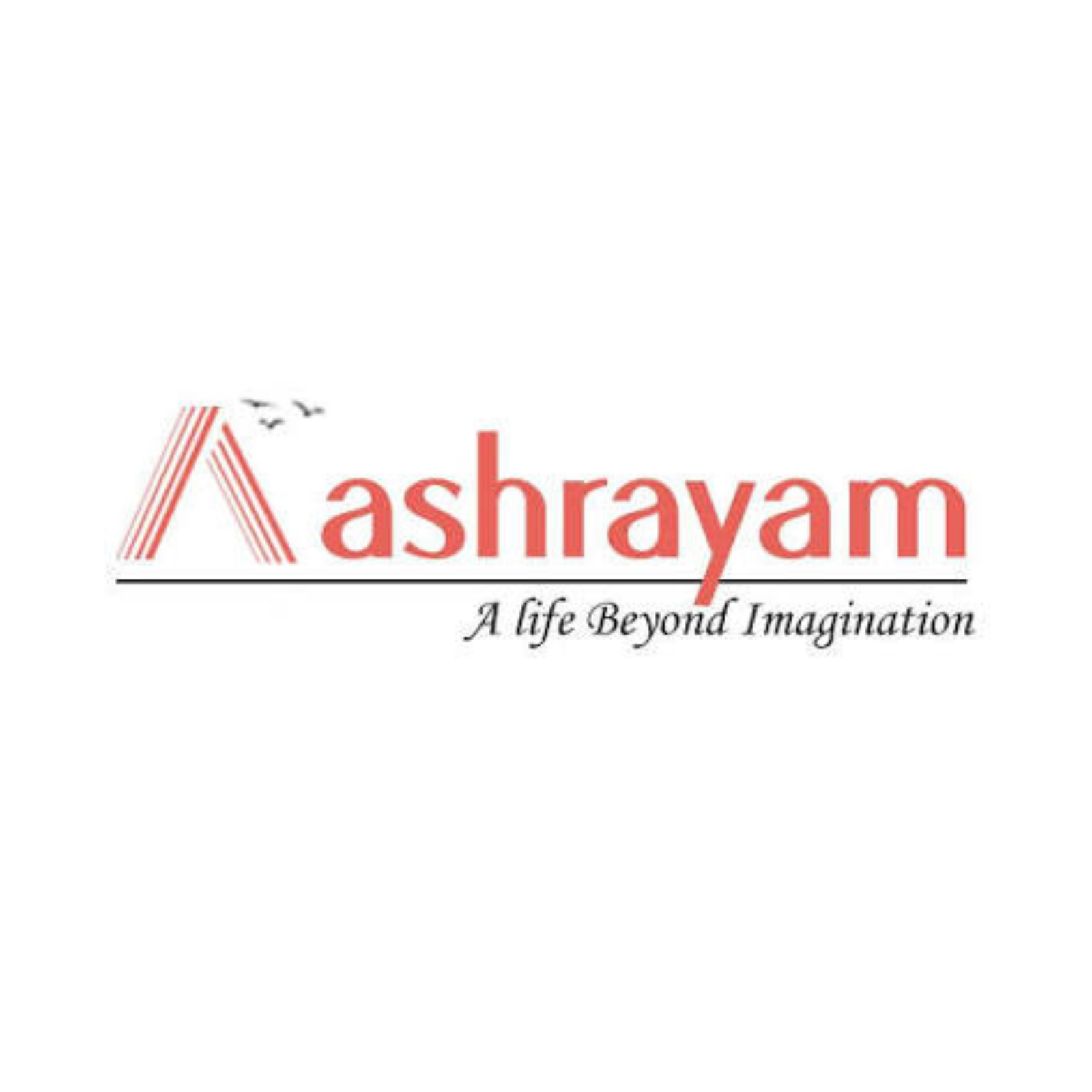 Developer Partner 14
